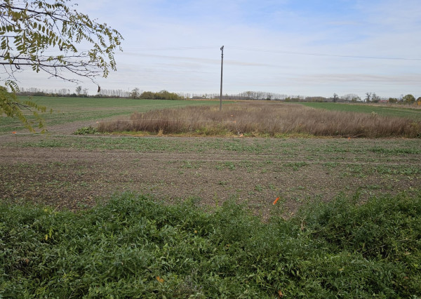 Na predaj pozemok - záhrada vhodný aj ako investícia