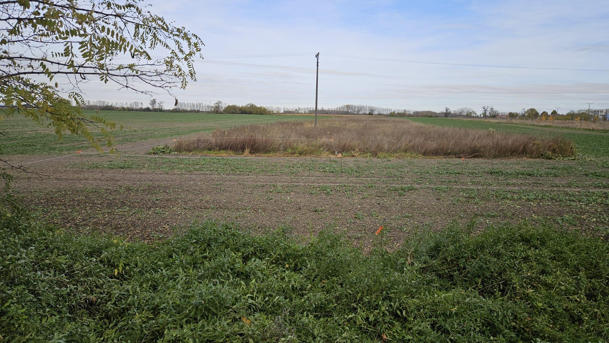 Na predaj pozemok - záhrada vhodný aj ako investícia